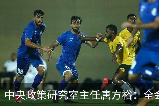 中央政策研究室主任唐方裕：全会《决定》征求意见稿收到修改意见1173条