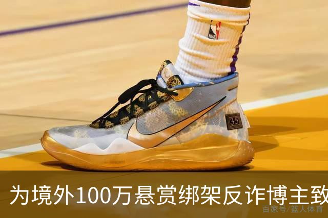 为境外100万悬赏绑架反诈博主致死，法院：应依法严惩，判死缓！