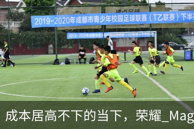 成本居高不下的当下，荣耀 Magic8 Pro Air 为什么敢卖到 2433.7？